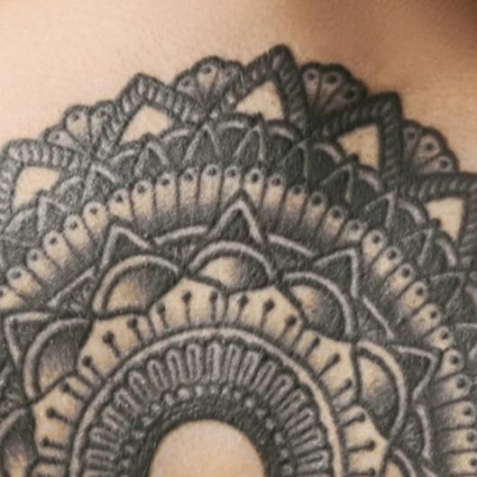 Half Sleeve Starter Package